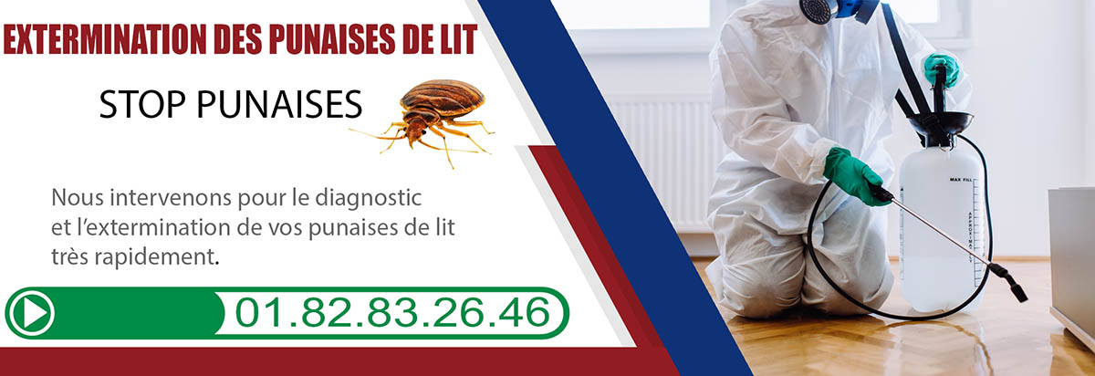 Punaises de lit Le Plessis Trevise 94420